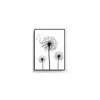 Poster Decorativo Moderno Preto e Branco Planta Dente-de-leão Nórdico Sala de Estar Quarto Pintura Decorativa Pintura Sem Moldura Amazon