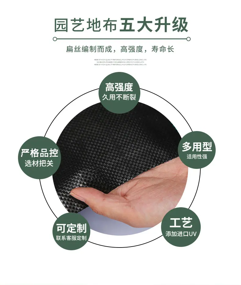 详情a.jpg