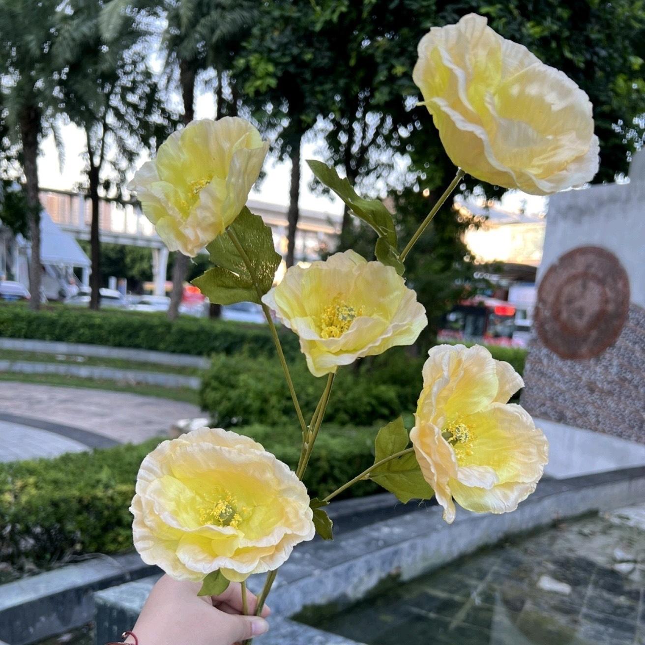微信图片_20240707135430.jpg