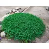 Decorações de Tampa de Bueiro Externo, Enfeites para Cobrir, Aglomerados de Grama Eucalipto, Molhos de Grama, Pilhas de Grama
