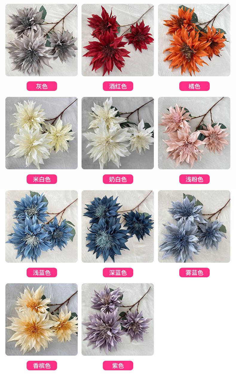 产品颜色-(1).jpg