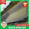 Material Nuevo Tanque Séptico Geomembrana Antifiltración Relleno Sanitario Piscina de Biogás Membrana Antifiltración Polietileno Hdpe Geomembrana Antifiltración