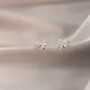 Pendientes de concha con borlas, frescos y sencillos, con un diseño único, nuevos estilos de primavera y verano para mujer, venta al por mayor