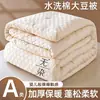 2026 Nueva Colcha de Fibra de Soya Colcha de Invierno Colcha de Algodón Núcleo de Colcha Persona Sola Fresca de Verano Colcha de Aire Acondicionado Engrosada Cálida Ropa de Cama de Primavera y Otoño