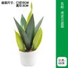 Vaso de Flor de Orquídea Tigre Simulada Estilo Moderno Simples Planta Verde Simulada Planta Bonsai Pequena em Vaso Artificial de Mesa Orquídea Tigre