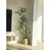 Planta Verde Grande en una Maceta de Madera de Pata de Pato, Adecuada para Sala de Estar y Oficina, Fácil de Cuidar en Todas las Estaciones, También Adecuada para Dormitorio