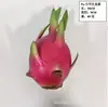 Modelo de fruta simulada, juego de frutas artificiales, manzana, plátano, sandía, limón, naranja y otros accesorios para fotos, decoración del hogar