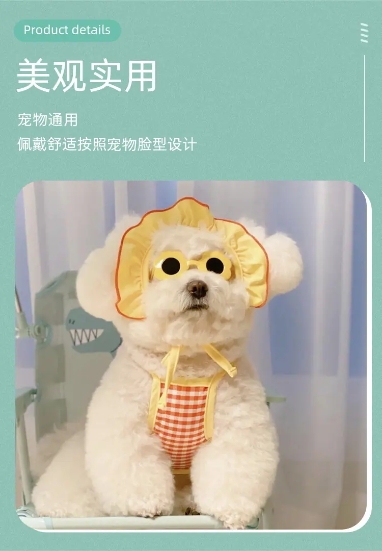 宠物塑料眼镜1_06.png