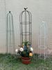Planta de ferro forjado escalando montanha tartaruga clematis azul neve rosa flor rack de escalada forma pequeno suporte haste de suporte