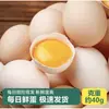 Huevos al por Mayor [Promoción Nueva Tienda] 30 Huevos, Huevos de Gallina de Corral Criados en Granja, Huevos de Campo Recién Recolectados