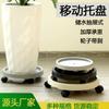 Base de maceta para fabricante Chasis Rueda universal con freno Plástico engrosado Bandeja de agua Bandeja de maceta extraíble con ruedas