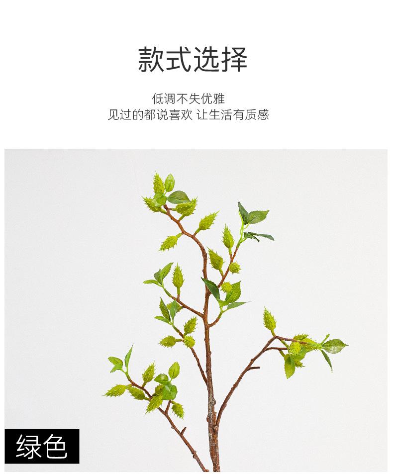 中枝橄榄果详情图