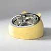 Tazón de Acero Inoxidable para Gato con Boca Inclinada para Proteger la Columna Cervical y Prevenir Volcaduras, Tazón de Comida Desmontable, Bebedero para Perro Mascota, Tazón para Gato
