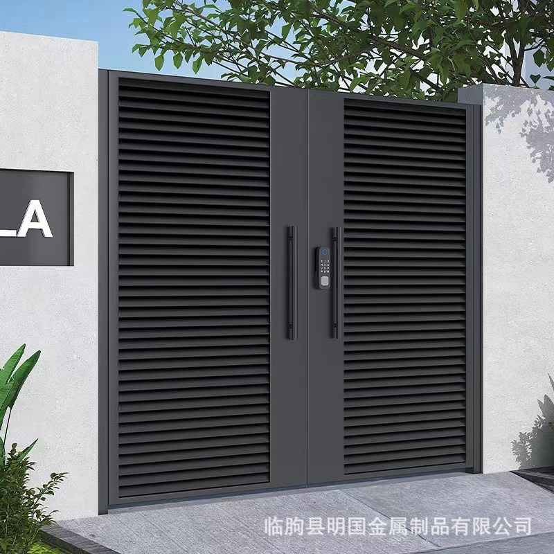 简约现代庭院门