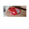 Adecuado para Toyota Gm 2004-2005 Rav4 Luz Trasera, Led, Conjunto de Luz Trasera para Toyota