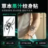 Adesivo de Tatuagem de Aranha Negra Fórmula de Suco de Frutas Ervais Longa Duração à Prova d'Água Realista Dominante Para Homens Mulheres Braço Perna