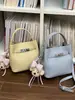 Bolso Cubo de Mano de Nicho Estilo Coreano para Mujer 2026 Primavera Nuevo Moda Bolso de Hombro Único Bolso Cruzado Simple de Alto Valor