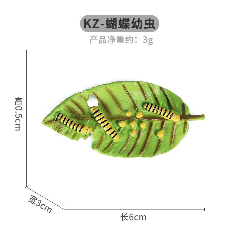 KZ-蝴蝶幼虫