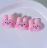 Accesorios para el Cabello de Niños Pinza para el Cabello de Niñas Pinza para el Cabello Fetal de Bebé Accesorios para el Cabello de Princesa Pinza para el Cabello de Bebé Set de Pinzas Pequeñas para el Cabello