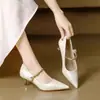 Nuevos Zapatos Franceses de Punta Fina Estilo Chino 2025, Elegantes y Cómodos, Zapatos de Tacón Alto Mary Jane con una Sola Correa