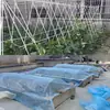 Soporte Pequeño para Invernadero Plástico de Invernadero Película de Suelo de Invierno Invernadero de Verduras Varilla de Fibra de Vidrio Alta Elasticidad Invernadero Varilla de Arco Sólido