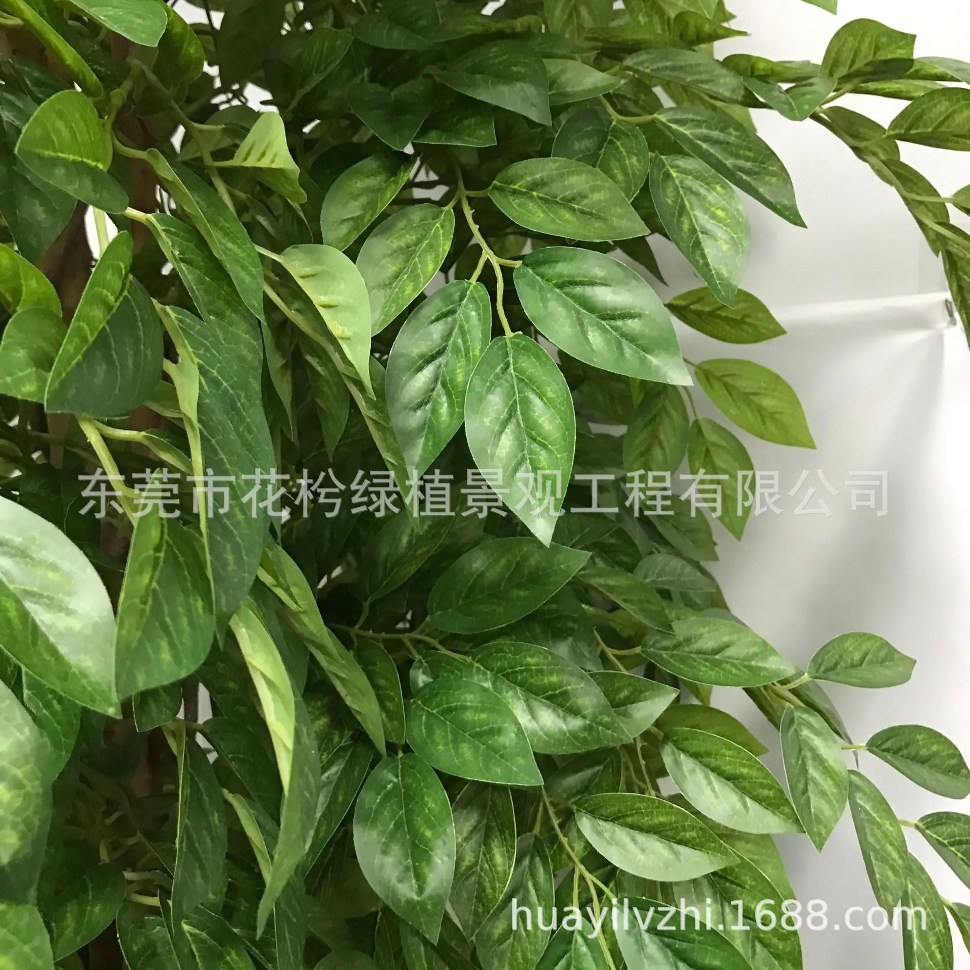微信图片_2021052809445310