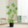 Forma Pie de Pato Madera Sala de Estar Maceta Grande Planta Verde Interior Sala de Estar Grande de Pie Flor Real Pila Vieja Pie de Pato Madera