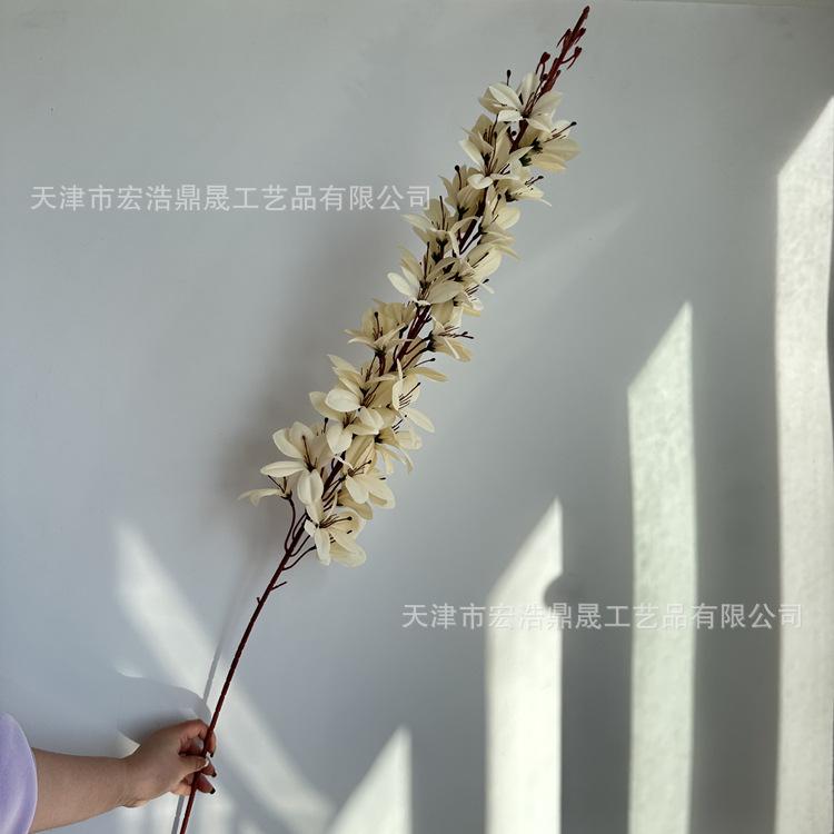 微信图片_2023031816131811_副本