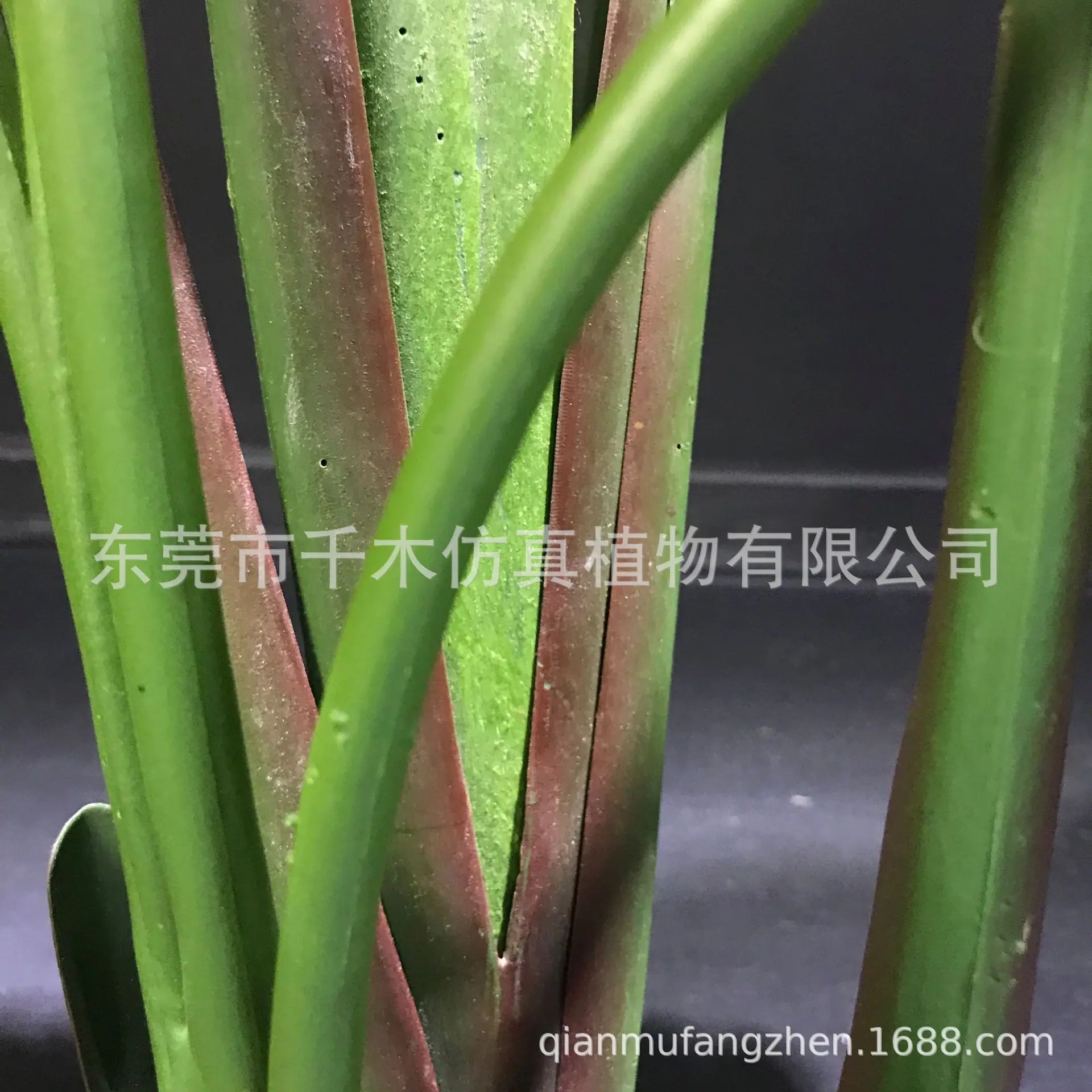 微信图片_202105181125524