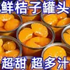 Naranjas enlatadas, Naranjas frescas de temporada enlatadas, Naranjas listas para comer, Caja completa al por mayor