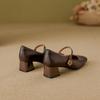Zapatos Mary Jane de una hebilla vintage para mujer, nuevos para Primavera y Verano 2025, zapatos de una sola capa con tacón grueso para mujer, zapatos de tacón alto francés de boca poco profunda para mujer