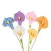 Tejido de punto de cruz simulación flor tejida a mano Lirio de Calas tejido ganchillo hilo flor Regalo para el Día de San Valentín Día del Maestro