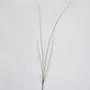 Madeira Simulada Ladrão de Madeira Grama de Bambu Bambu Fino Planta Verde Flor Ladrão de Madeira Planta em Vaso Decoração Arranjo de Flores Modelo de Hotel Decoração de Quarto