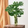 Planta Hidropónica Monstera Planta Grande de Interior en Maceta para Sala de Estar y Oficina Planta Verde de Hojas Grandes Vegetación Todo el Año con Maceta para Eliminar Formaldehído