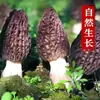 Morchelas Secas de Yunnan, Cogumelos Comestíveis Selecionados, Novidades para Sopa, Morchelas, Cogumelos Shiitake, Cogumelos Atacado, Disponível para Envio