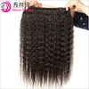 Peruca Real Cabelo Humano Kinky Straight Europeu e Americano Com Fechamento de Renda 4*4