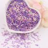 Estrellas huecas sirena flor de cerezo maquillaje de escenario infantil brillo lentejuelas diy material pegamento funda de teléfono móvil lentejuelas 10g