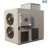 Secador de Bomba de Calor de Alta Temperatura, Secador Grande para Morangos, Equipamento de Secagem de Caquis, Secador de Luo Han Guo