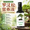 Solución Nutritiva Especial para Ciprés Calvo Promueve el Crecimiento, Fortalece Plántulas y Hojas, Previene Amarillamiento, Sequedad, Pudrición de Raíz y Crecimiento Lento, y Promueve la Fertilización
