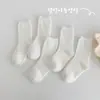 1485 Meias Atacado Outono 20 Cores Meias Curtas de Agulha Dupla Algodão Respirável Meias de Cor Sólida para Homens, Mulheres e Crianças 100% Algodão Estilo Fino de Verão
