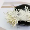 Accesorios para el Cabello Hechos a Mano Estilo Coreano DIY al por Mayor Materiales de Estambres de Flores Artificiales de Alta Calidad Cabezas Redondas Mate de 2 mm Centros de Flores y Estambres