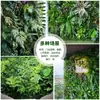 Parede de plantas artificiais parede de fundo de plantas verdes decoração de parede grade de casamento flor artificial de plástico empresa parede de imagem de paisagismo de shopping