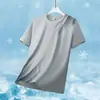 Camiseta de manga corta para hombre, fresca, secado rápido, verano, fina, transpirable, talla grande, casual, fitness, running, deportes, malla, secado rápido