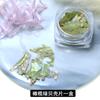 Joias para Nail Art de Nova Cor Mágica Japonesa Pedaços Naturais Irregulares de Concha Pequena Pedaços de Concha de Abalone Misturados 12 Cores