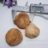Meituan Gutian Hericium Erinaceus Productos Secos Especialidad de Fujian Granja Autocultivada Secado Productos Nuevos Frescos Bolsa de Material para Sopa de Hongos