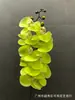 Simulação de Orquídea Phalaenopsis Japonesa de Nove Flores com Fita Adesiva Comércio Exterior Flor Artificial Falsa Decoração de Arranjo de Flores para Sala de Estar Quarto Modelo