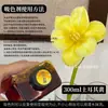 Colorante para flores, absorbente de color para rosas, solución absorbente de color, tinte, colorante para ramos y floristerías