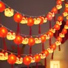 Luces Pequeñas de Colores para Año Nuevo 2026, Luces Festivas para Ambiente de Danza del León, Luces Decorativas para Balcón del Festival de Primavera, Farolillos, Guirnaldas de Luces