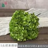 Simulação Hortênsia Comércio Exterior 5 Cabeças Arranjo Hortênsia Hortênsia Francesa Estilo Quente Base para Casamento Hortênsia Flor Artificial Atacado