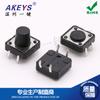 Interruptor táctil vertical de 4 pies TS-G001 con enchufe directo, 12 x 12 x 4,3/5/6/7/8/9/10/11/12 mm